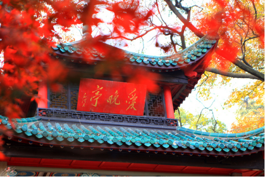 &#66;&#79;&#66;&#21322;&#23707;