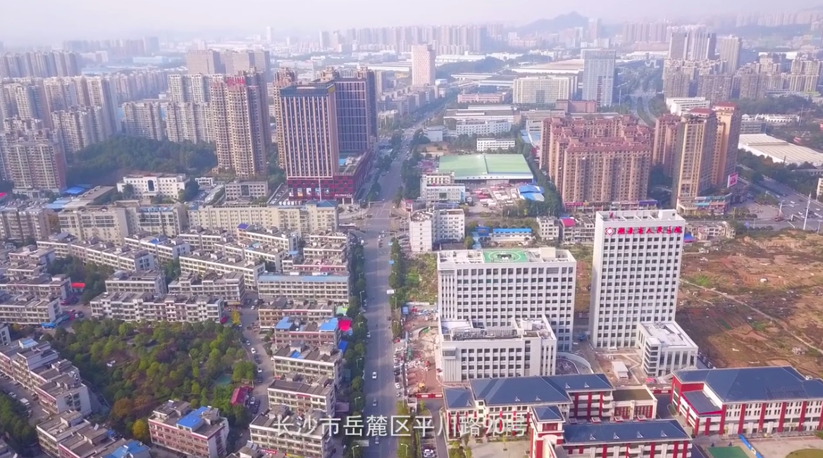 &#66;&#79;&#66;&#21322;&#23707;